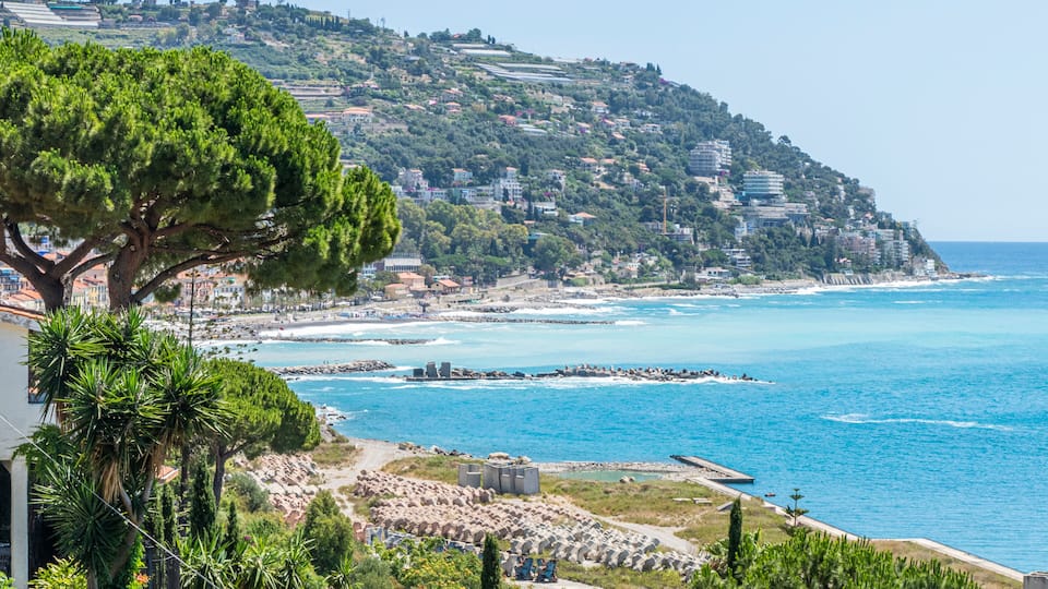 A coastal landscape with a prominent tree, rocky shoreline, and buildings on a hillside.