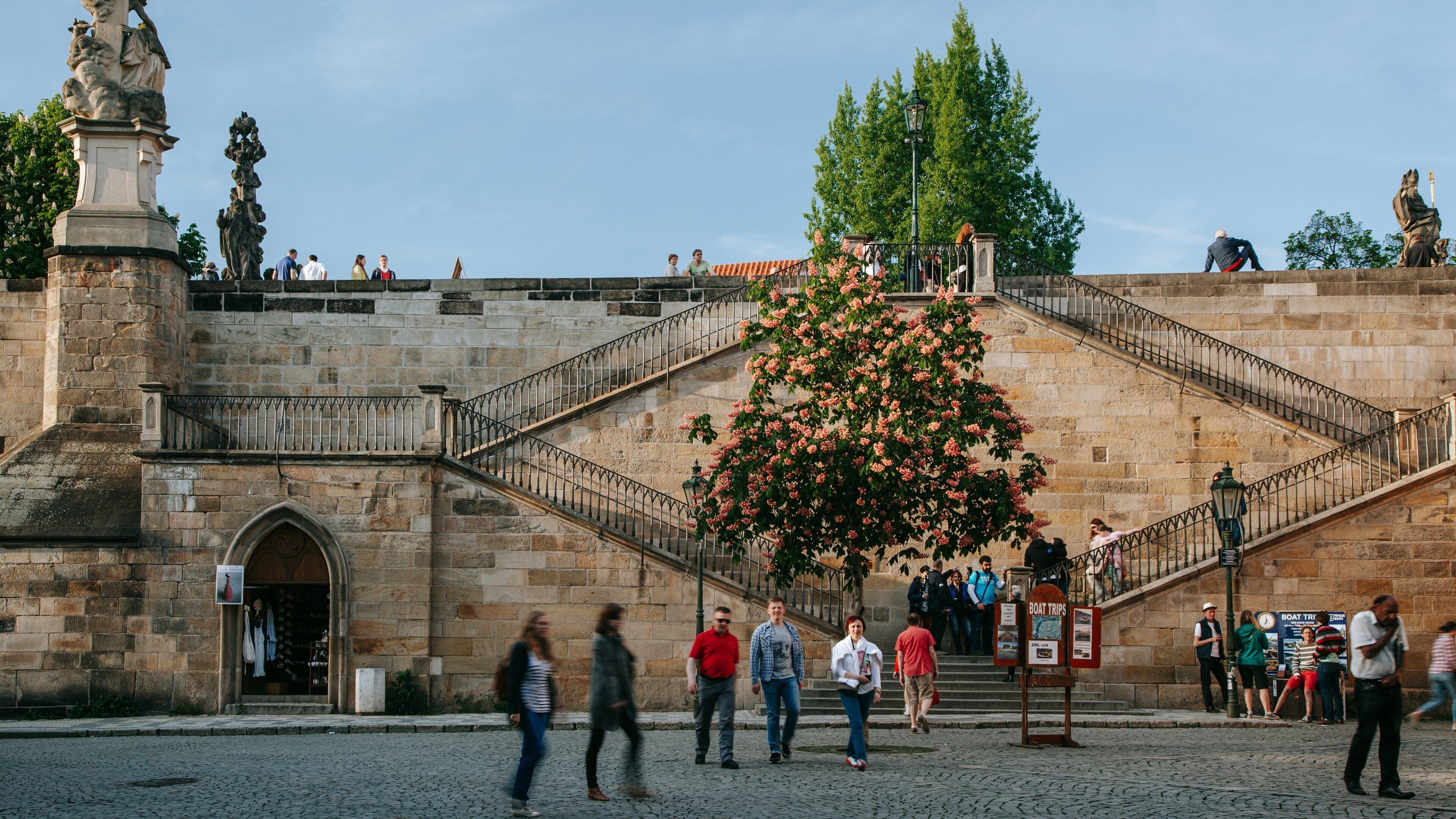 Mala Strana which includes street scenes and wildflowers