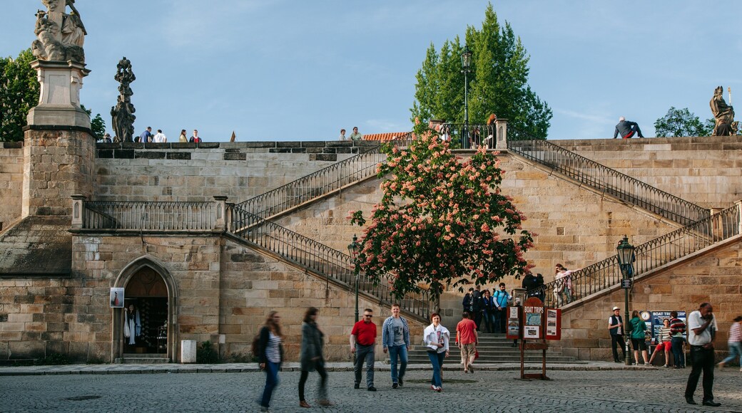 Mala Strana which includes street scenes and wildflowers
