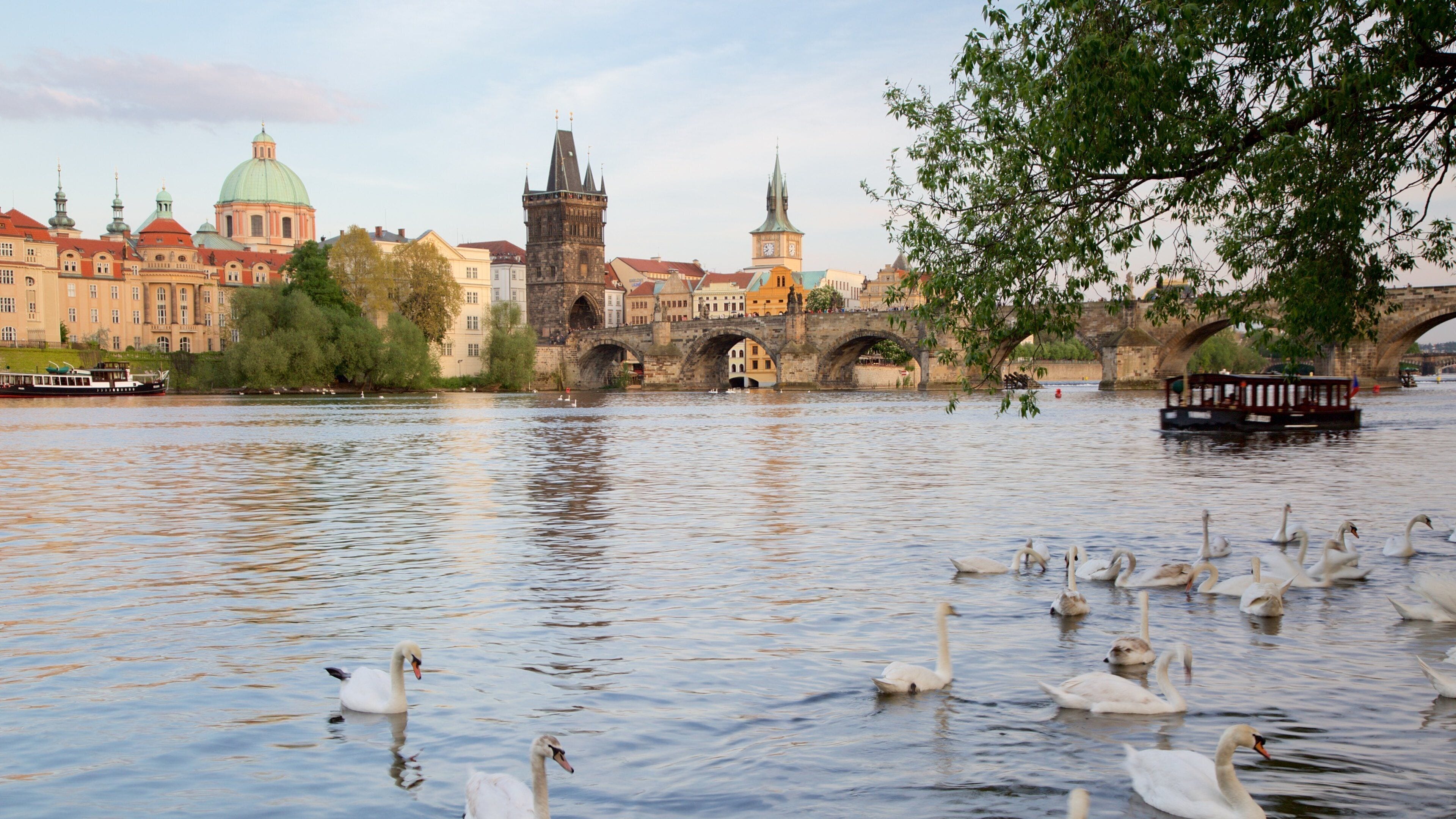Aus a un riu amb edificis històrics i un pont al fons.