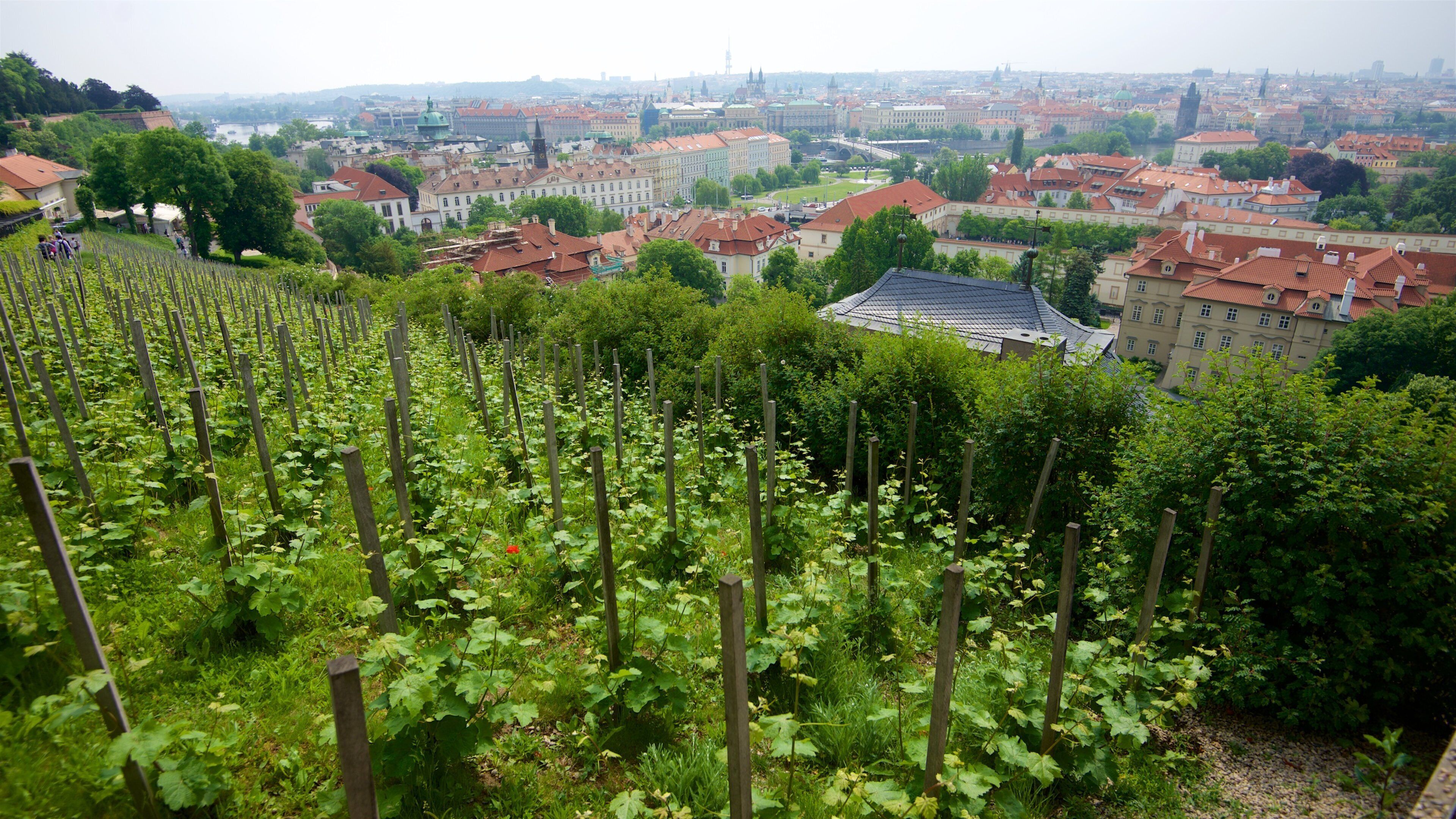 Malá Strana inclusief landschappen, een tuin en een stad