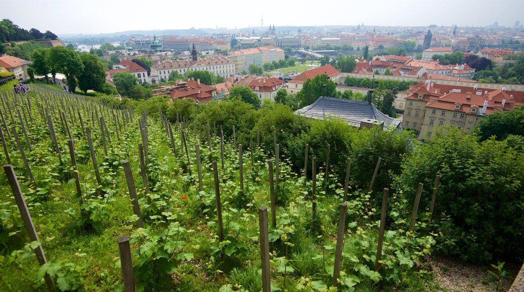 Malá Strana inclusief landschappen, een tuin en een stad
