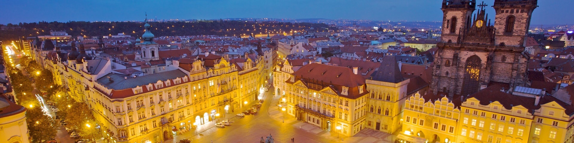 Czech Republic showing a city, a church or cathedral and heritage architecture