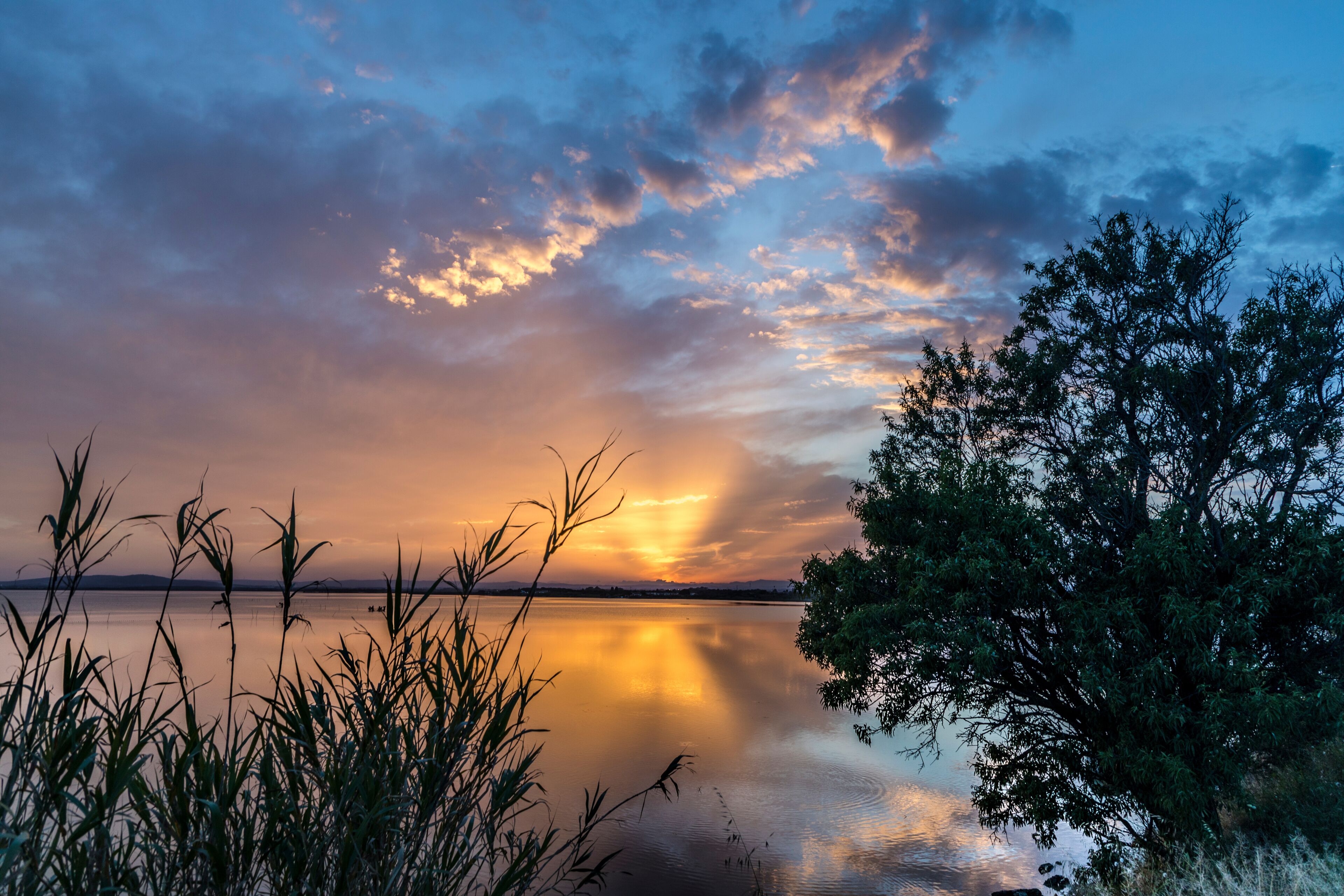 Blue yellow pink orange and purple Carnon-Plage Montpellier sunset above water southern France from shore with vegetation