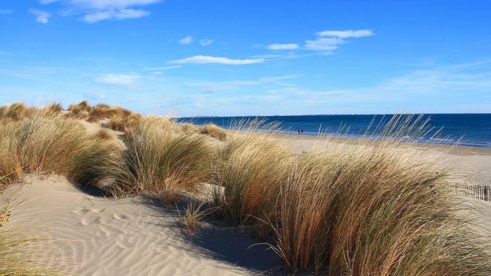 Beautiful sandy beach in Camargue region, in the South of France; Shutterstock ID 760950643; purchase_order: SP-1332 HA Batch 2 August 2018; Order: ; client: HomeAway; other: To be paid with HA budget