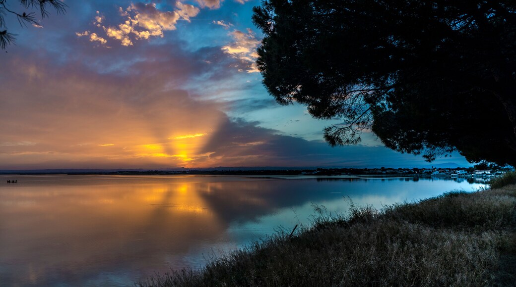 Blue yellow pink orange and purple aqua Carnon-Plage Montpellier sunset above water southern France from shore with tree and grass