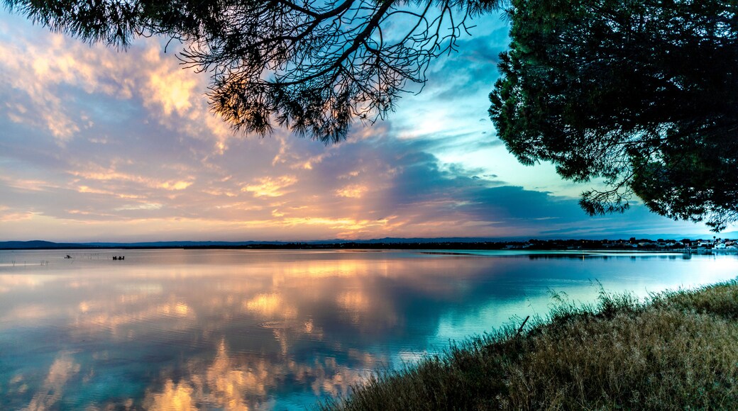 Blue yellow pink orange and purple aqua Carnon-Plage Montpellier magic hour after sunset above water southern France from shore with tree and grass