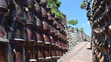 Un jardin en terrasses agrémenté de grands pots en terre cuite disposés en gradins le long d’un sentier de pierre.