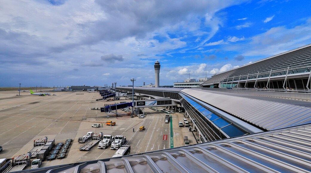 It's time to go home and the last thing to do is to take photo at the airport.