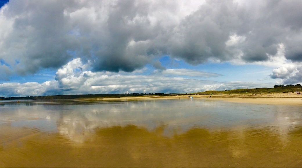 I liked the reflection of the clouds on the wet sand at low tide.