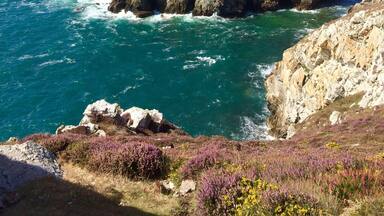 A rocky coastline with clear blue waters and purple heather.