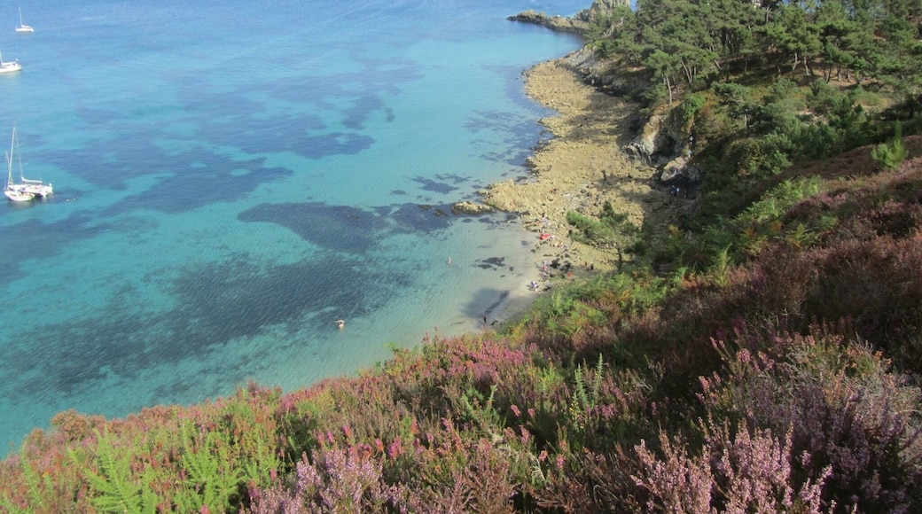 どれも美味しい。