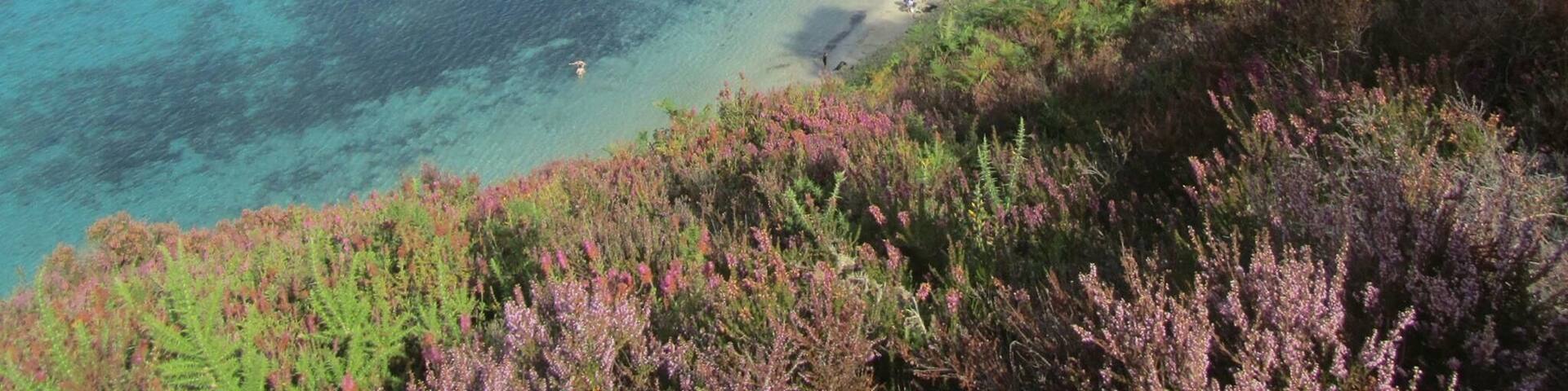 どれも美味しい。