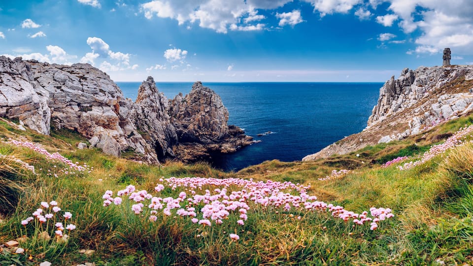 A coastal landscape with rocky cliffs, a sea view, and pink flowers in the foreground.
