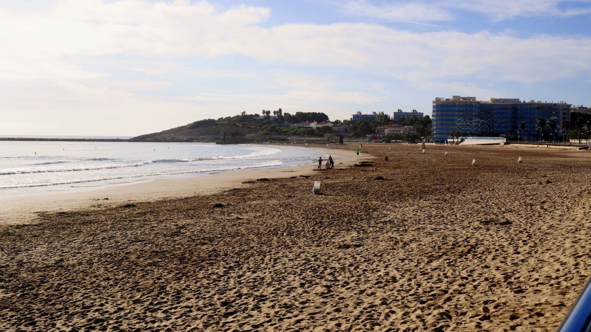 La Pineda beach
