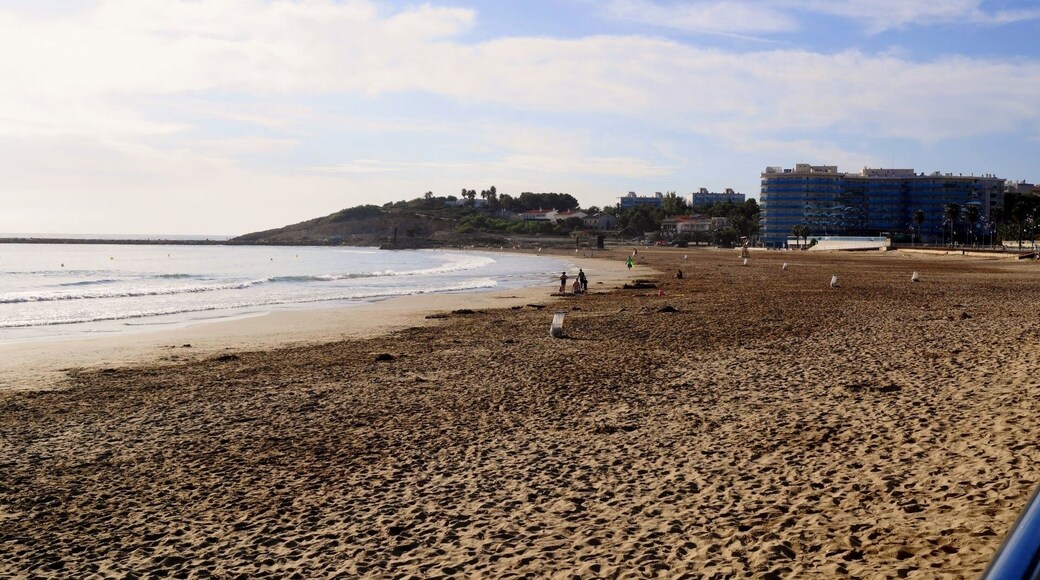 La Pineda beach