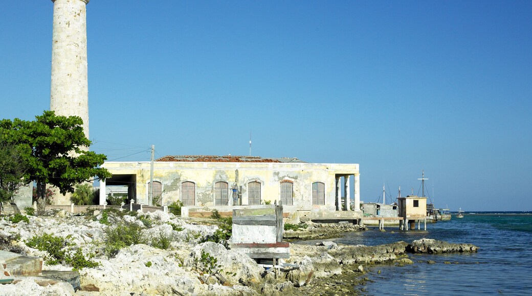 アメリカン キャニオン