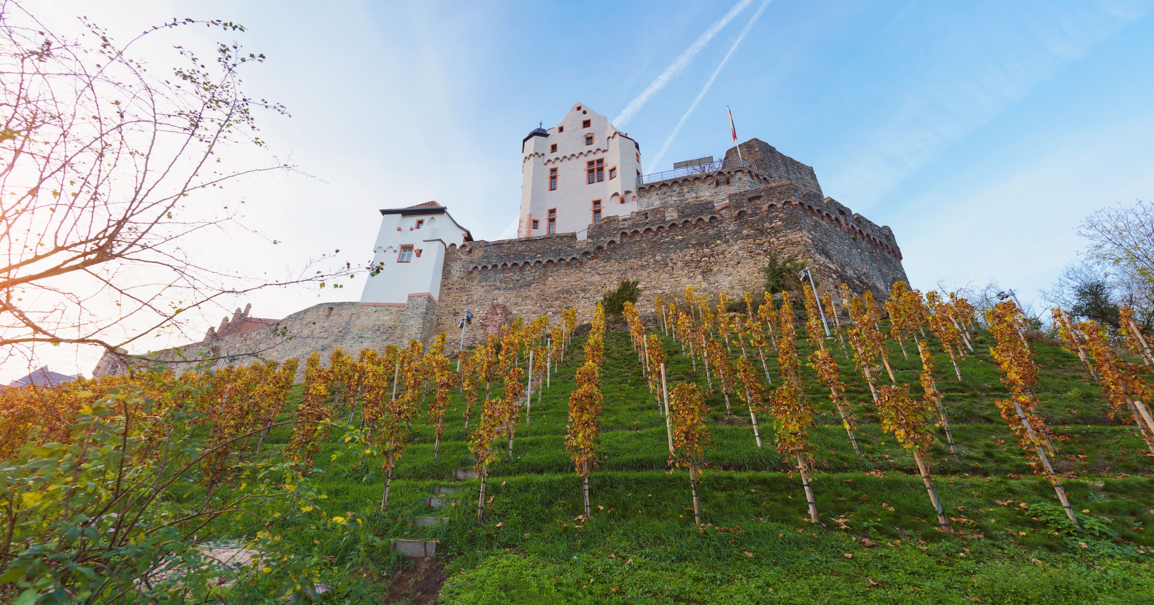 Alzenau Castle in Lower Franconia in Bavaria, Germany