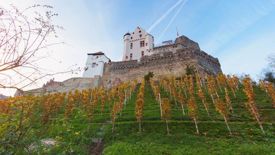 Alzenau Castle in Lower Franconia in Bavaria, Germany