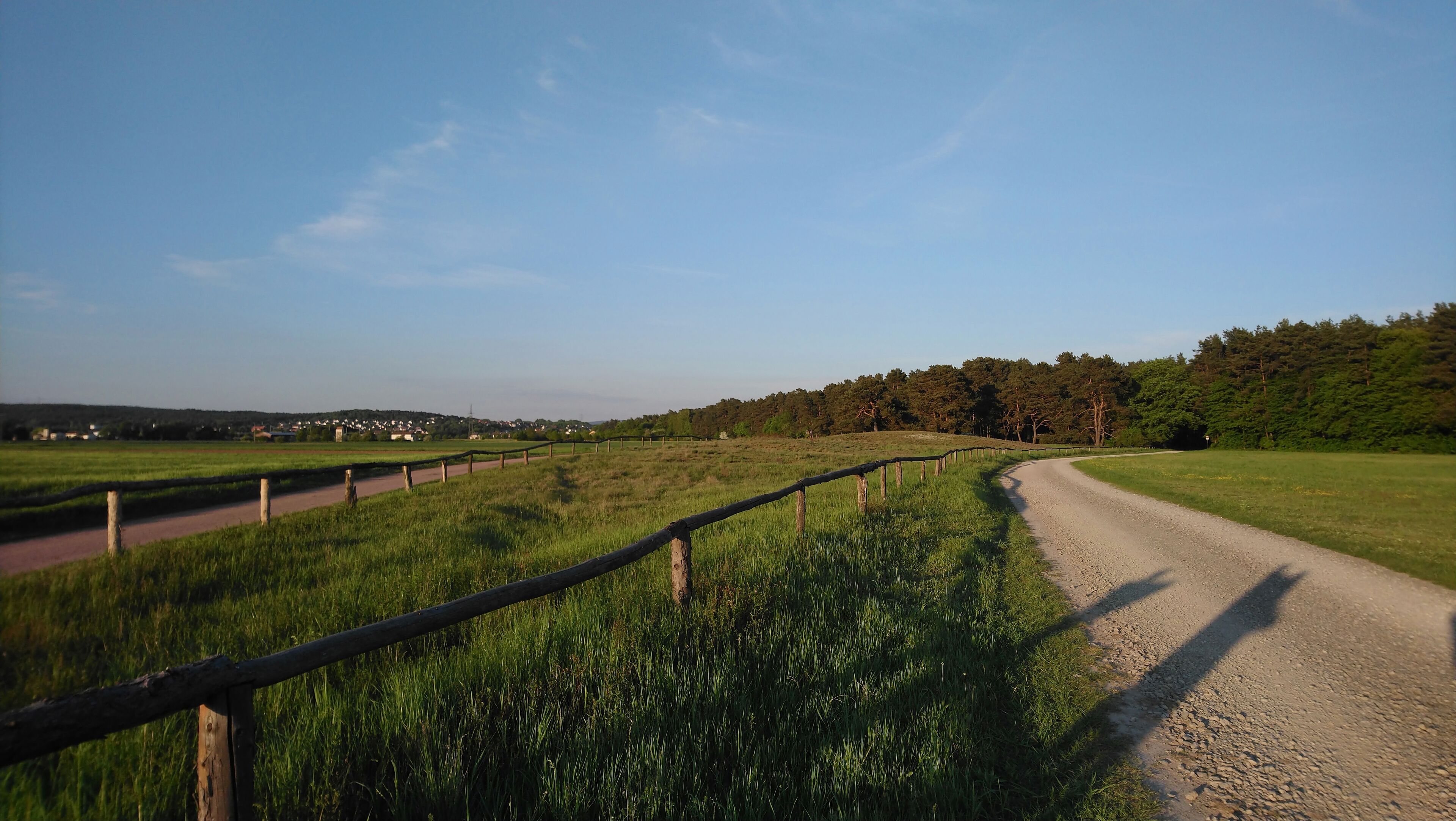 Naturschutzgebiet Alzenauer Sande