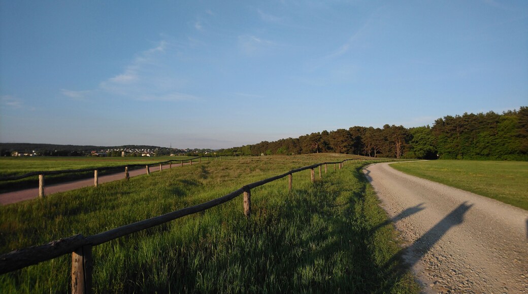 Naturschutzgebiet Alzenauer Sande