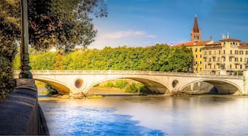 Ponte Vittoria Verona
JUST FOLLOW THE PIN TO GET THERE 📌
⬇️⬇️ Make my day and follow me also at: ⬇️⬇️
https://www.instagram.com/denniskuh1896/
https://www.facebook.com/dennisdondersphotography/
https://500px.com/dennisdonders
www.flickr.com/photos/denniskuh1896