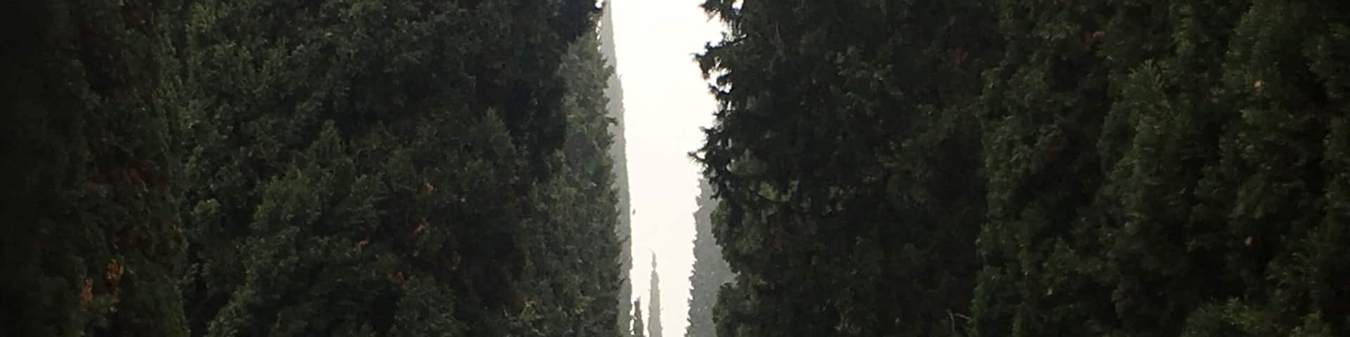 Cloudy autumn Sunday at Giardino Giusti in Verona, quite near the city center! I didn’t enter the garden since you have to pay an 8€ ticket and it looked like it was about to rain 🙈 #lifeatexpedia #wewhotravel