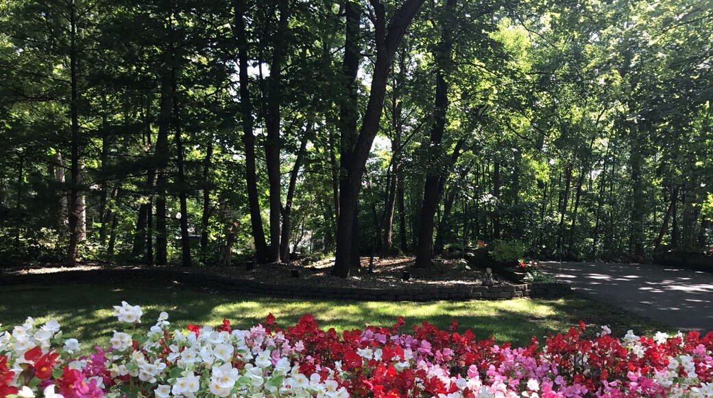 Beautiful August morning in Wisconsin.