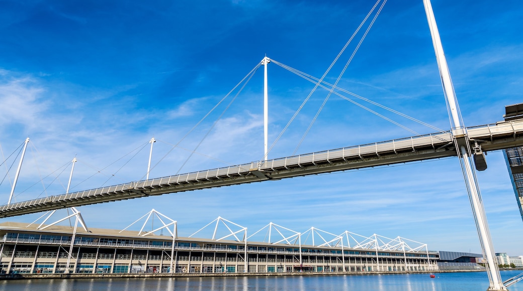 Royal Victoria Dock Bridge and ExCeL London