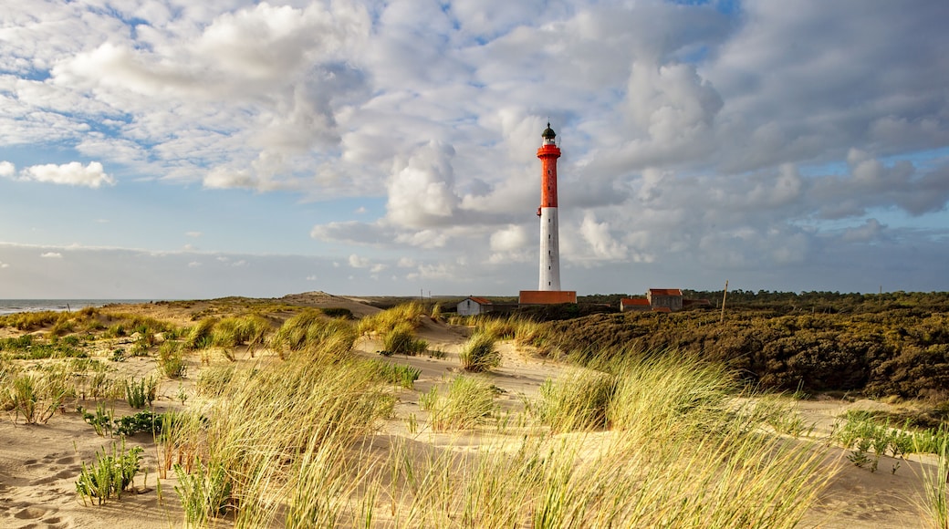 La Coubre Lighthouse among sand dunes, an example of acute shoreline recession, coastal erosion, near La Tremblade and Royan, France, South-West, Atlantic Coast