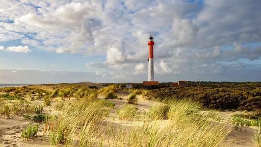 La Coubre Lighthouse among sand dunes, an example of acute shoreline recession, coastal erosion, near La Tremblade and Royan, France, South-West, Atlantic Coast