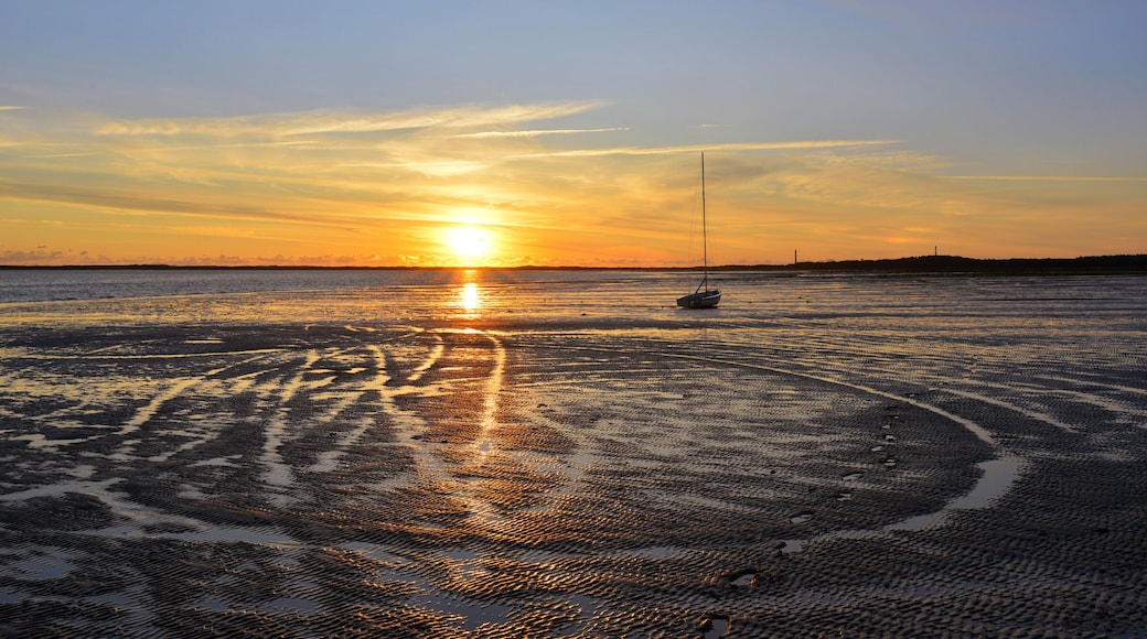 Empreintes spatiales à marée basse à la Palmyre (17570 Les Mathes), département de la Charente-Maritime en région Nouvelle-Aquitaine, France