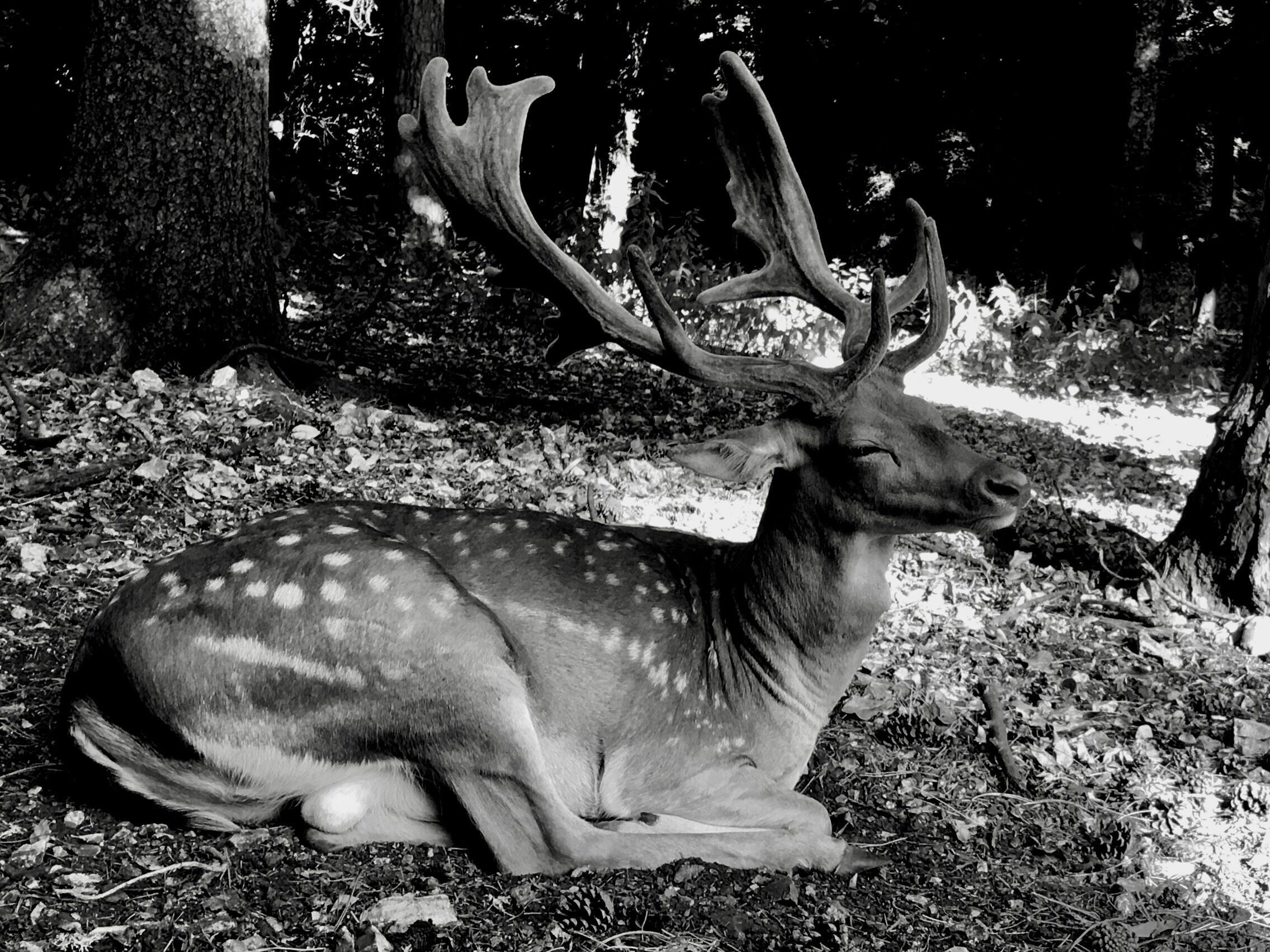 Puglia not only sea! #Wildelife