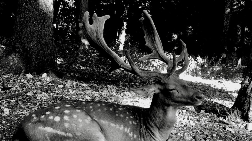 Puglia not only sea! #Wildelife