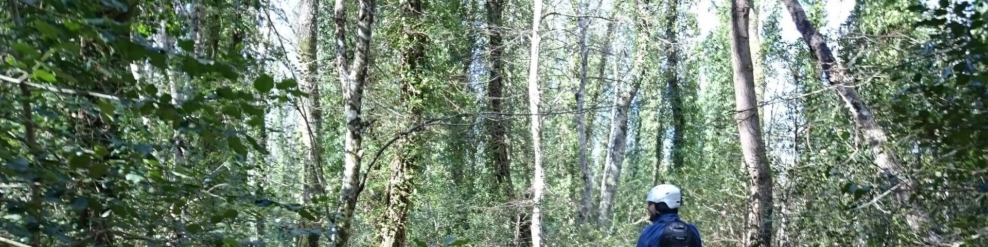 A cavallo tra sentieri e boschi del #Gargano con le guide esperte del maneggio di Posta Ruggiano #weareinpuglia