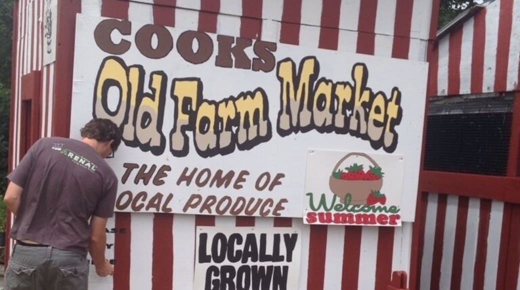 Cooks Local Produce stand. Picked fresh everyday. Paying is on the long lost honor system. Slide your cash into a slot when you are done. Amazing to taste fresh picked fruits & veggies.