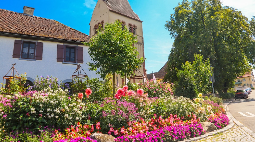 Reichenau