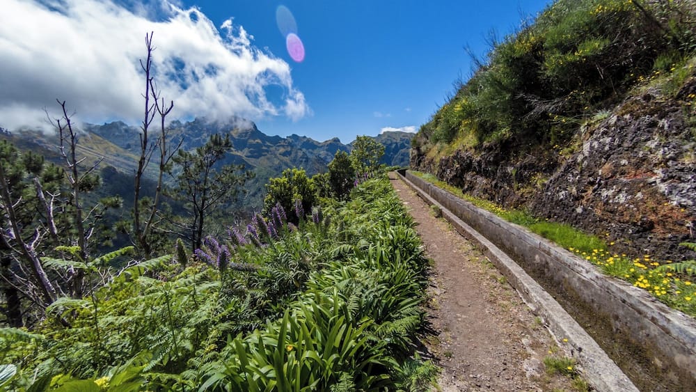 Encumeda - Levada das Rabaças
đ Europe's Leading Island Destination 2016
đ World's Leading Island Destination 2015
đ Europe's Leading Island Destination 2014
đ Europe's Leading Island Destination 2013