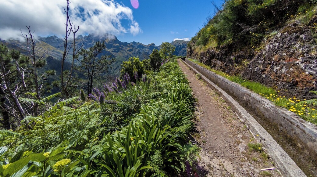 Encumeda - Levada das Rabaças
🏖 Europe's Leading Island Destination 2016
🏖 World's Leading Island Destination 2015
🏖 Europe's Leading Island Destination 2014
🏖 Europe's Leading Island Destination 2013