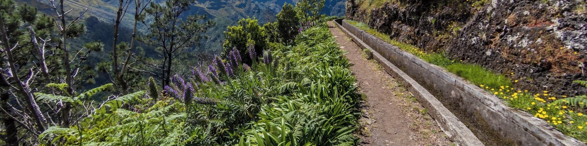 Encumeda - Levada das Rabaças
🏖 Europe's Leading Island Destination 2016
🏖 World's Leading Island Destination 2015
🏖 Europe's Leading Island Destination 2014
🏖 Europe's Leading Island Destination 2013