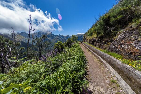 Encumeda - Levada das Rabaças
🏖 Europe's Leading Island Destination 2016
🏖 World's Leading Island Destination 2015
🏖 Europe's Leading Island Destination 2014
🏖 Europe's Leading Island Destination 2013