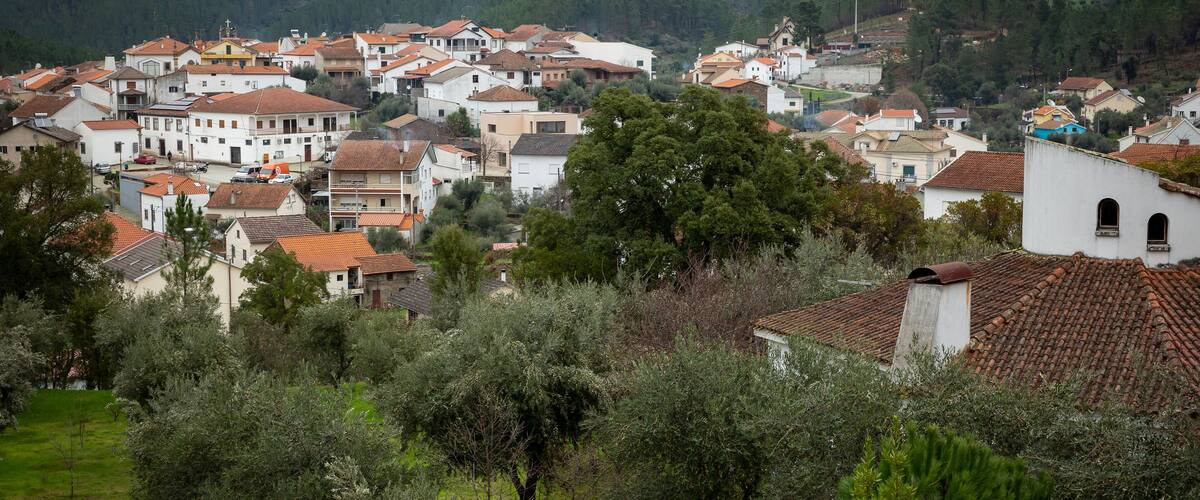 A hillside village with terracotta-roofed houses, olive trees, and a lush green landscape.