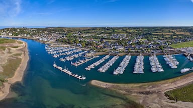 A coastal marina with numerous boats docked, surrounded by a town and green hills.