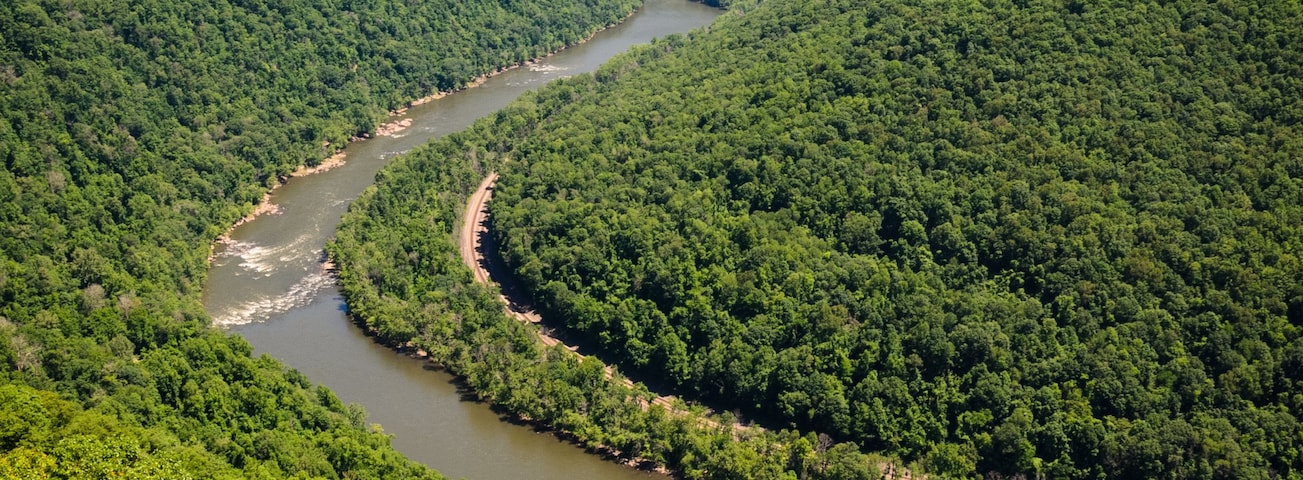 Un río serpentea a través de un bosque tupido con un cielo despejado.