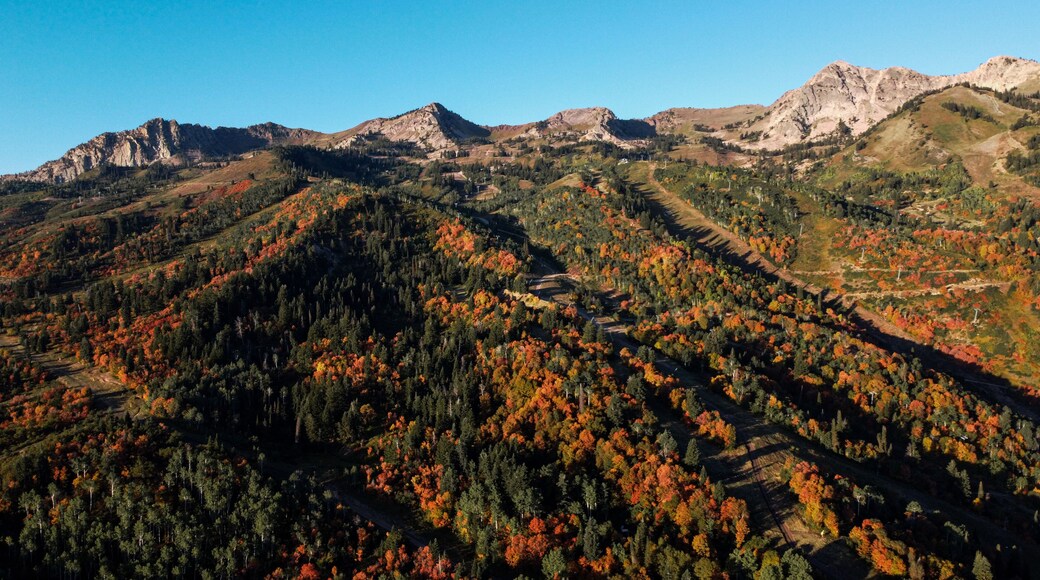 Beautiful Fall Aerial Autumn views of Snowbasin Huntsville Utah