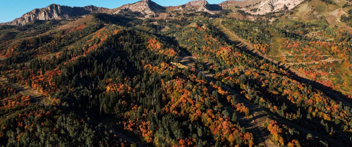 A mountainous landscape with autumn foliage, a winding road, and distant rocky peaks.