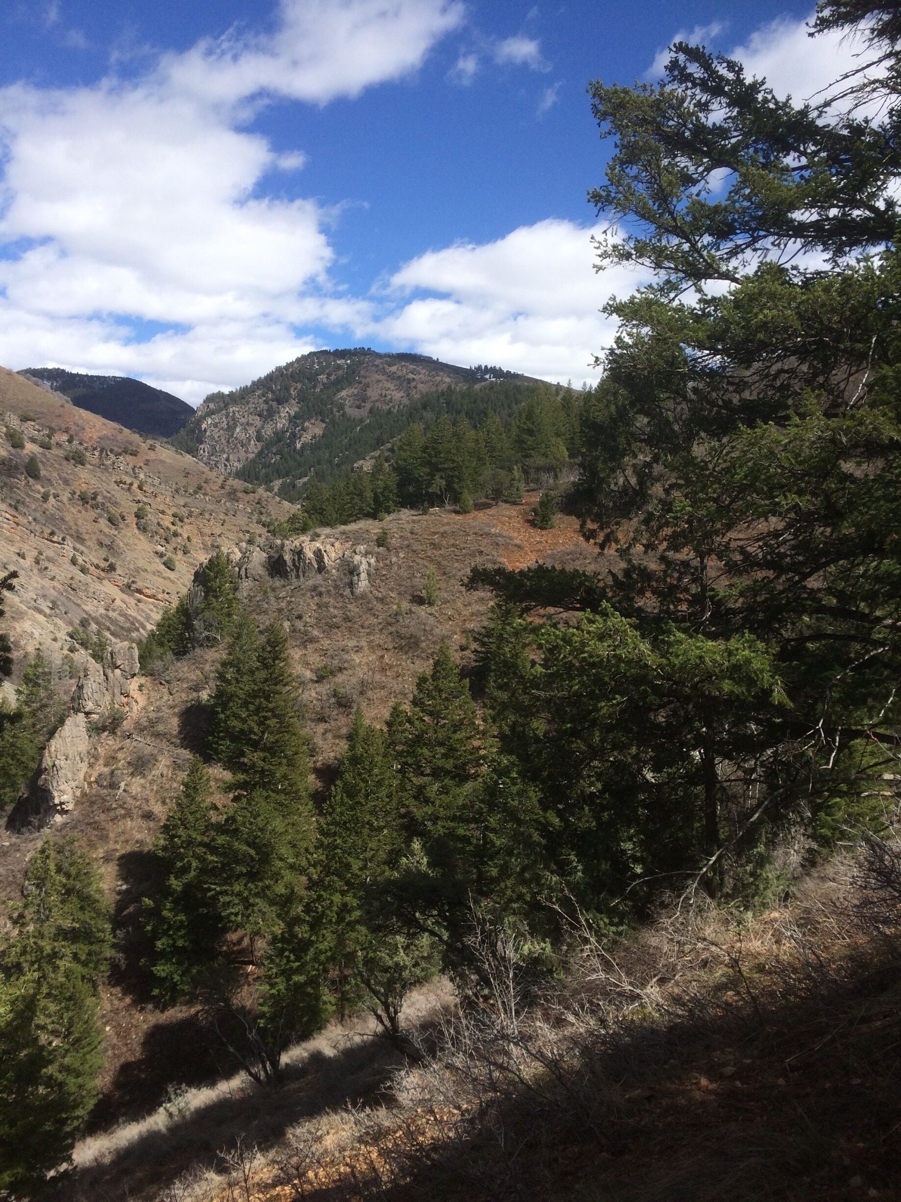 Nice hike but beware of wildlife I was almost killed by an elk. 