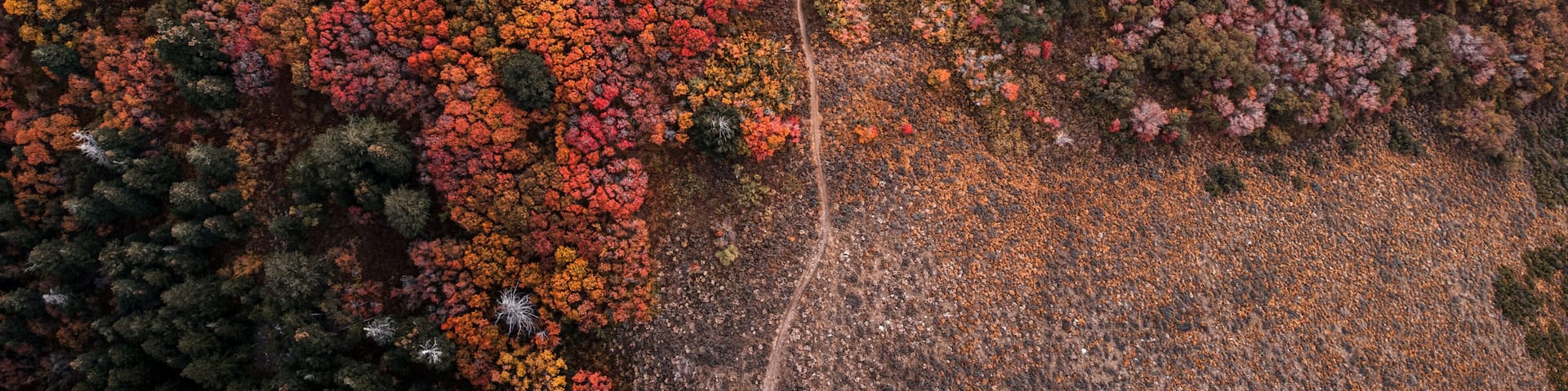 Aerial Breathtaking Fall Autumn Hiking Views of Snowbasin Resort Ogden Morgan Utah Mountains