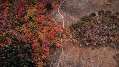 Aerial Breathtaking Fall Autumn Hiking Views of Snowbasin Resort Ogden Morgan Utah Mountains