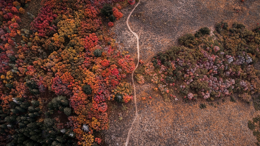 Aerial Breathtaking Fall Autumn Hiking Views of Snowbasin Resort Ogden Morgan Utah Mountains
